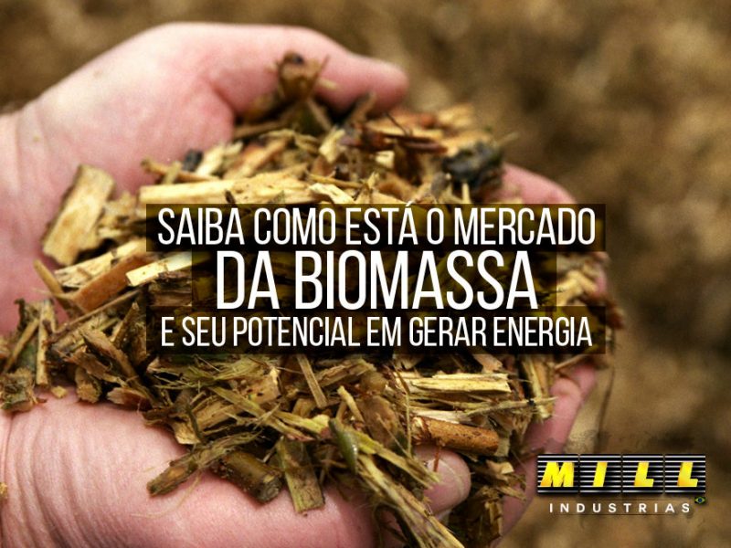 Saiba como está o mercado da biomassa e seu potencial em gerar energia