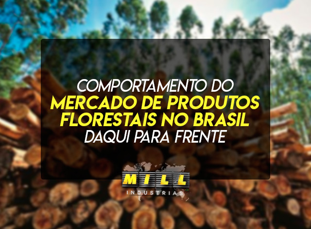 Comportamento do mercado de produtos florestais no Brasil daqui para frente