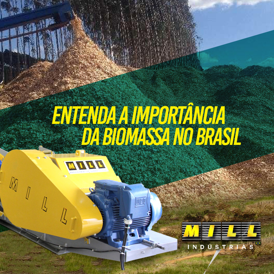 Você sabe como é uso da Biomassa no Brasil?