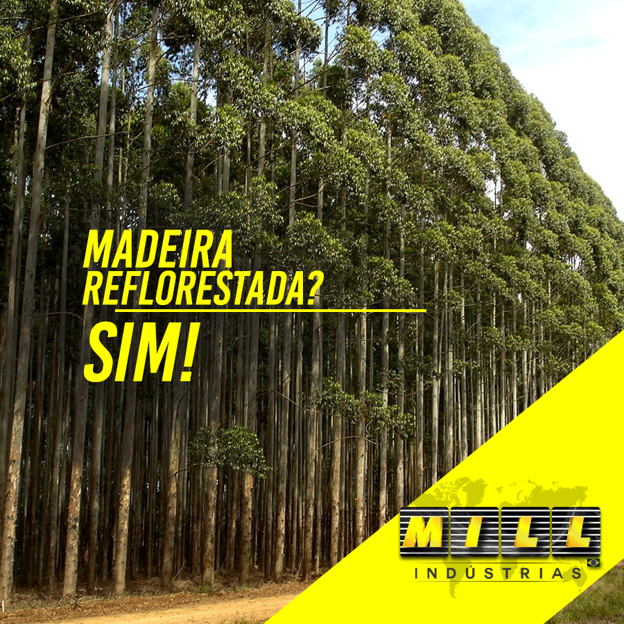 Madeira reflorestada? Sim!