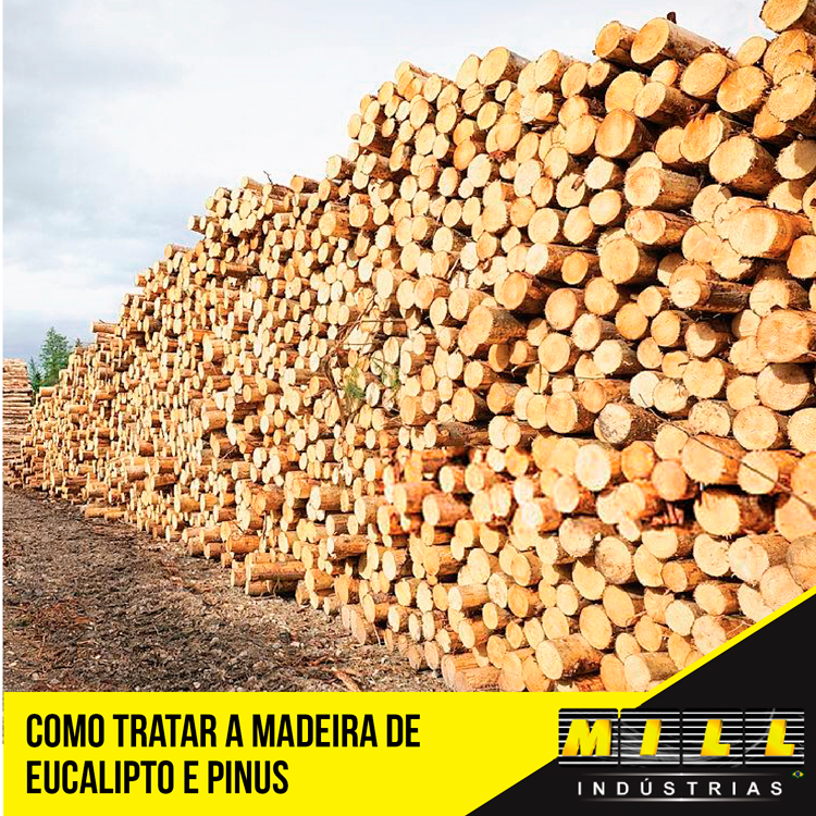 Como tratar a madeira de Eucalipto e Pinus