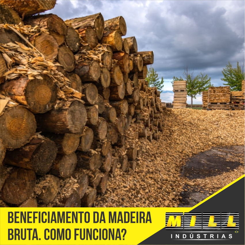 Beneficiamento de madeira bruta, como funciona?